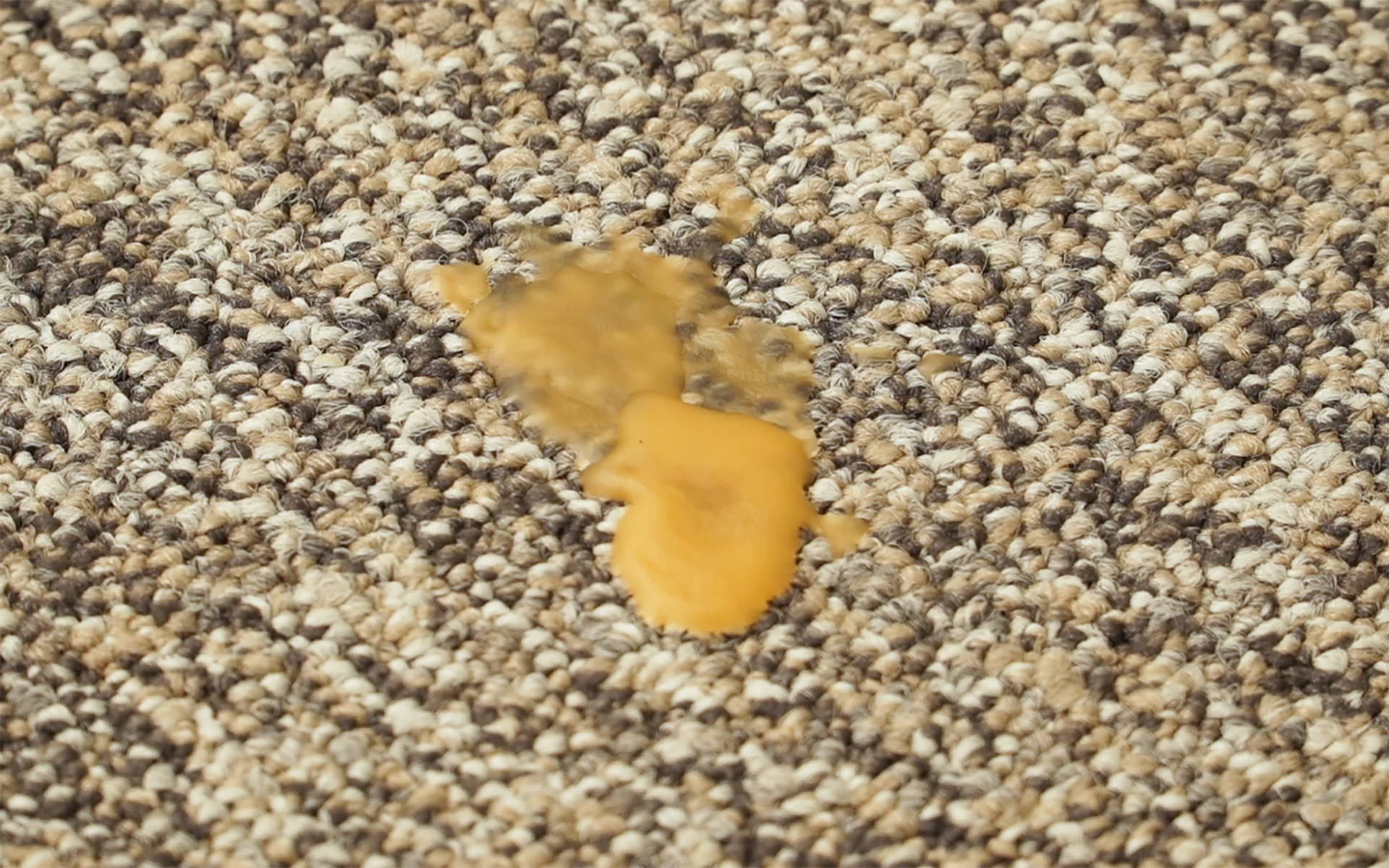 How To Clean Wax Carpet Soupcrazy1